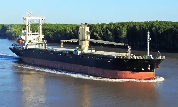 Bulk carrier for sale