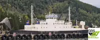 RORO ship for sale