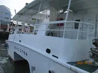 Catamaran for sale