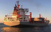 Reefer ship for sale