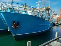 Fishing Trawler for sale