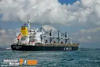 Bulk carrier for sale