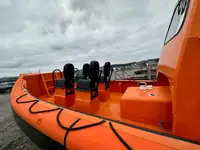 Rigid inflatable boat for sale