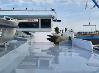 Bulk carrier for sale