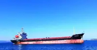 Bulk carrier for sale