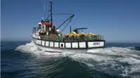 Fishing Trawler for sale