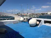 Catamaran for sale