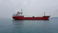 Bulk carrier for sale