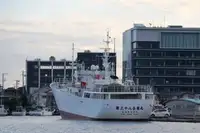 Fishing Trawler for sale