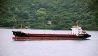 Bulk carrier for sale