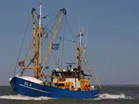 Fishing Trawler for sale