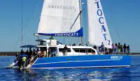 Catamaran for sale