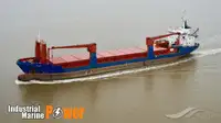 Bulk carrier for sale