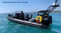 Rigid inflatable boat for sale