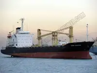 Bulk carrier for sale