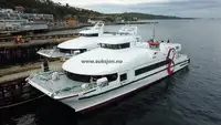 Catamaran for sale