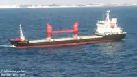 Bulk carrier for sale