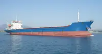 Bulk carrier for sale