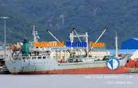 Reefer ship for sale