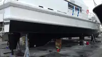 Catamaran for sale