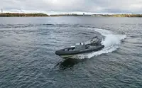 Rigid inflatable boat for sale