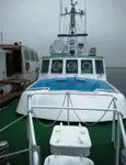 Pilot boat for sale