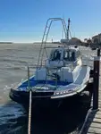 Pilot boat for sale