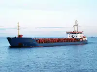 Bulk carrier for sale