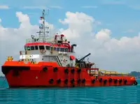 Reefer ship for sale