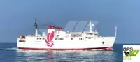 RORO ship for sale