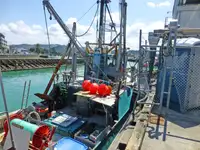 Fishing Trawler for sale