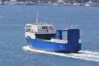 RORO ship for sale