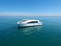 Catamaran for sale