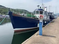 Pilot boat for sale