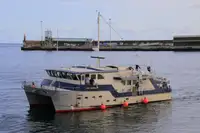 Survey vessel for sale