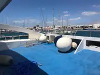 Catamaran for sale