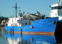 Bulk carrier for sale