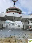 RORO ship for sale