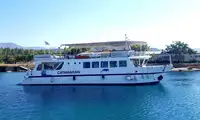 Catamaran for sale