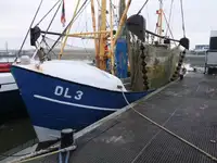 Fishing Trawler for sale