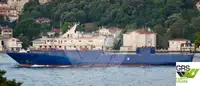 RORO ship for sale