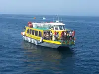 Ferry vessel for sale