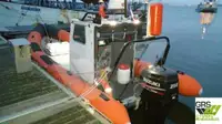 Rigid inflatable boat for sale