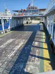 Ferry vessel for sale