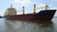 Bulk carrier for sale