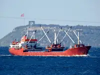 Bulk carrier for sale