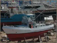 Fire boat for sale