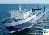 RORO ship for sale