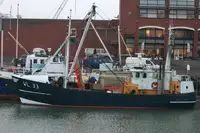 Fishing Trawler for sale