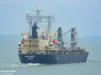 Bulk carrier for sale